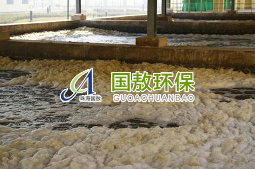 污水處理|污泥膨脹問題，解決方案與工藝建議